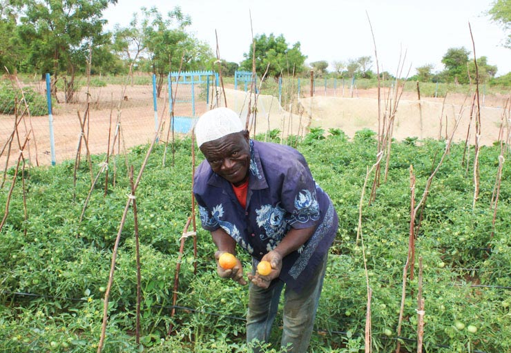 sos energie burkina légumes